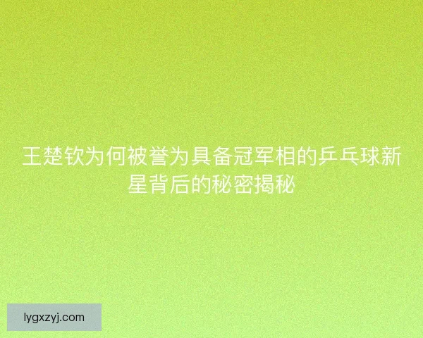 王楚钦为何被誉为具备冠军相的乒乓球新星背后的秘密揭秘