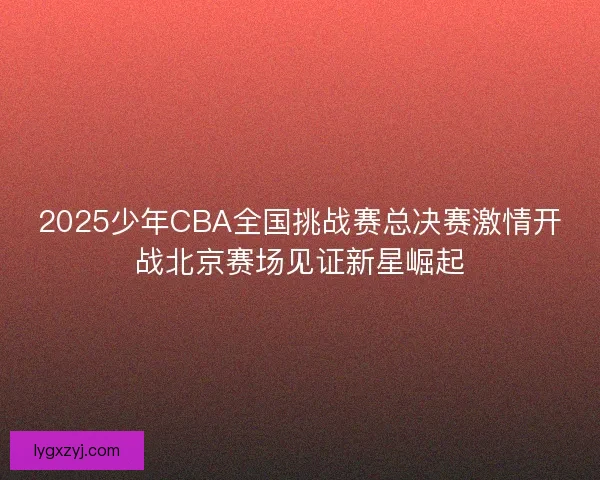 2025少年CBA全国挑战赛总决赛激情开战北京赛场见证新星崛起