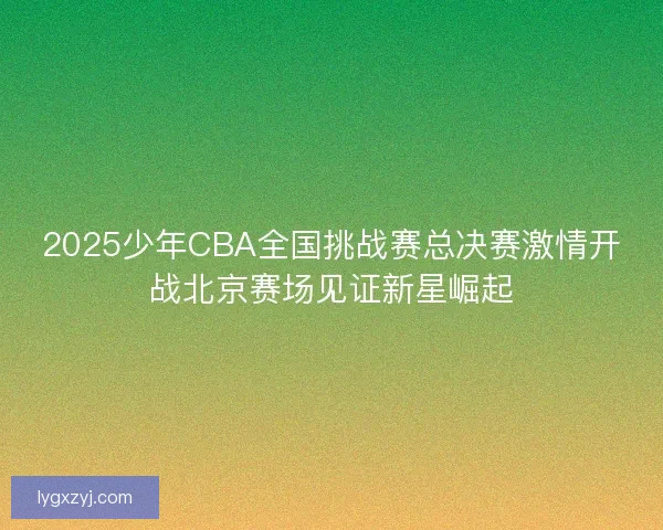 2025少年CBA全国挑战赛总决赛激情开战北京赛场见证新星崛起