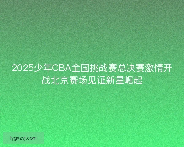 2025少年CBA全国挑战赛总决赛激情开战北京赛场见证新星崛起